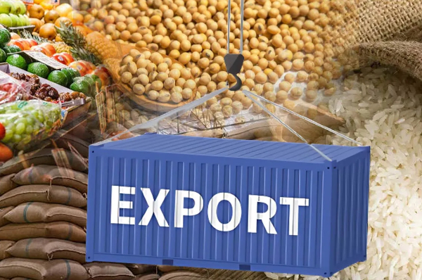 Agro Trading & Export