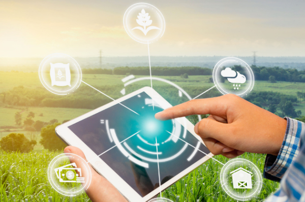 Farm Management