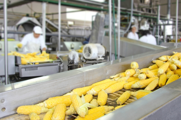 Food Processing